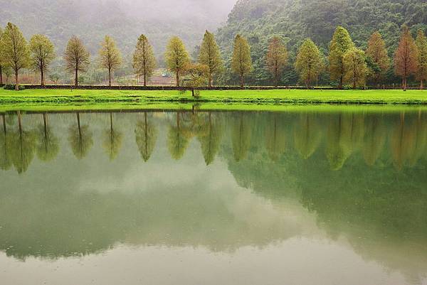 宜蘭福園 (2)