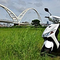 YAMAHA RAY125  (25)