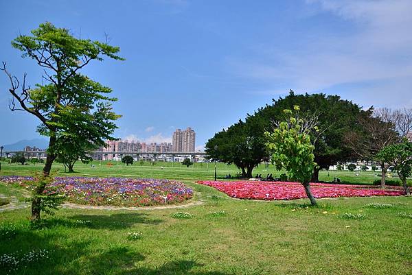 水漾公園花海 (1) 水漾公園花海 (1)