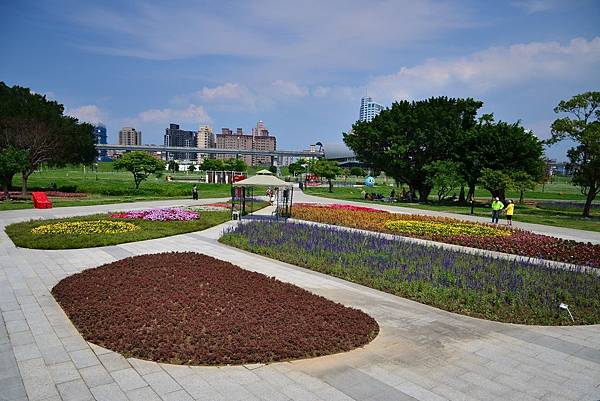 水漾公園花海 (2) 水漾公園花海 (2)