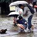 20170527_143935.jpg