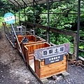 20170527_150745.jpg
