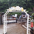 20170527_152820.jpg