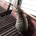 20170527_155740.jpg