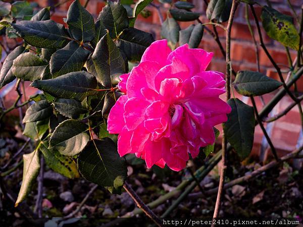 DSCN1547.jpg