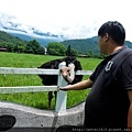 DSCN6886.jpg