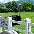 DSCN6904.jpg