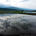 DSCN7012.jpg