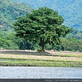 DSCN7159.jpg