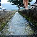 DSCN7170.jpg