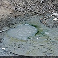 DSCN7267.jpg