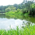 DSCN7278.jpg