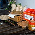 DSCN7300.jpg