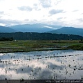 DSCN7010.jpg