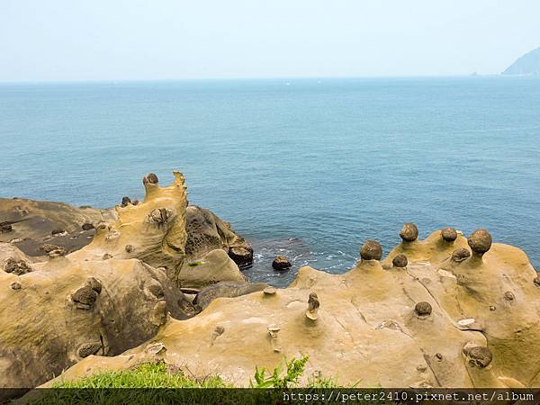 和平島地質公園 (64).jpg