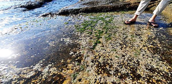 大坪海岸 (8).jpg 大坪海岸 (8).jpg