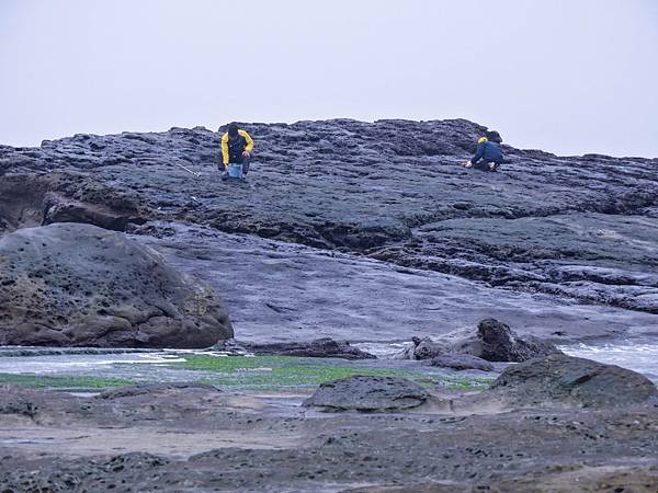 大坪海岸 (20).jpg 大坪海岸 (20).jpg
