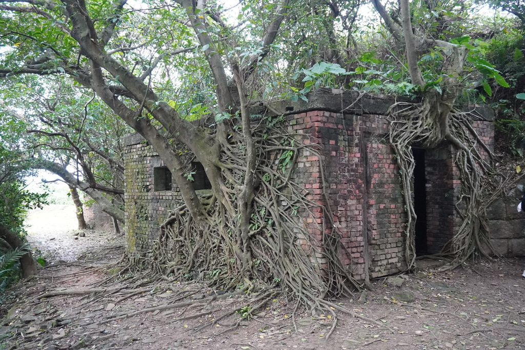 社寮東砲台 (9).JPG