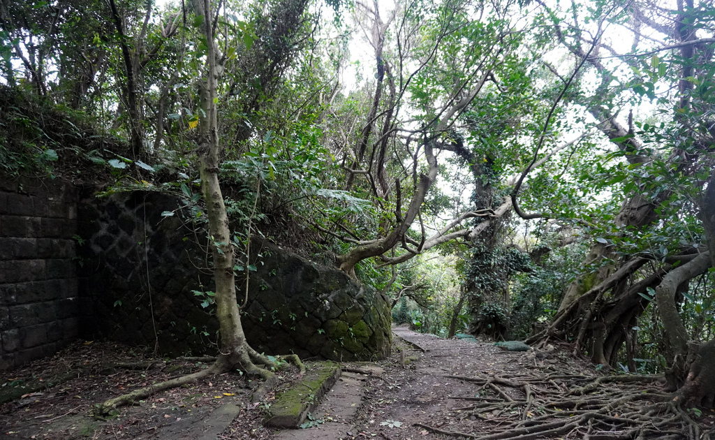 社寮東砲台 (10).JPG