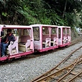 烏來台車 (8).JPG