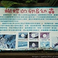 飛牛牧場A (37).jpg