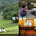 飛牛牧場A (1).jpg