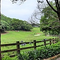第二屆苗栗FUN YOUNG跑酷越野障礙賽 (4).jpg
