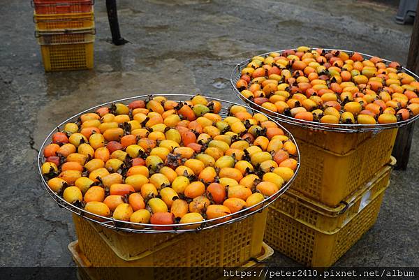 味衛佳柿餅教育農園 (22).JPG