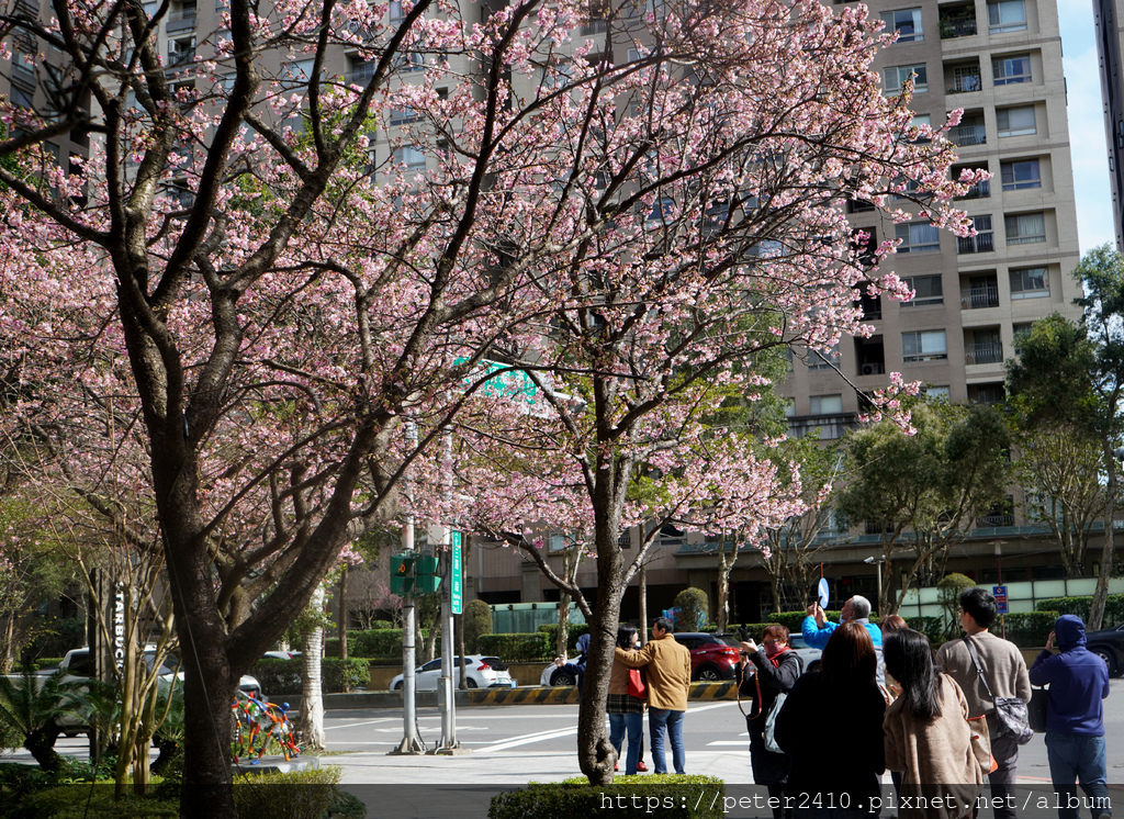 星巴克林口文化三門市 (5).JPG