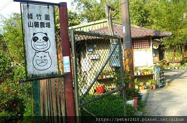 綠竹園山薯農場（原竹緣農場） (5).jpg