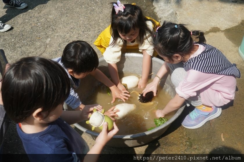 綠竹園山薯農場（原竹緣農場） (28).jpg