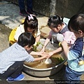 綠竹園山薯農場（原竹緣農場） (29).jpg