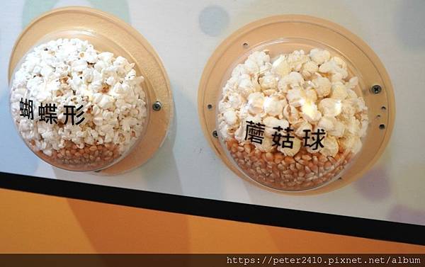 八里卡滋爆米花樂活遊 (29).jpg