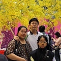 IMG_7256.JPG