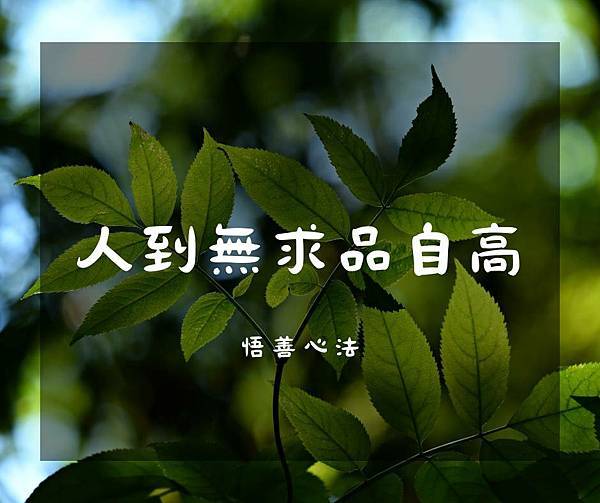 悟善禪師教我們的典故~【張仲景發明餃子】