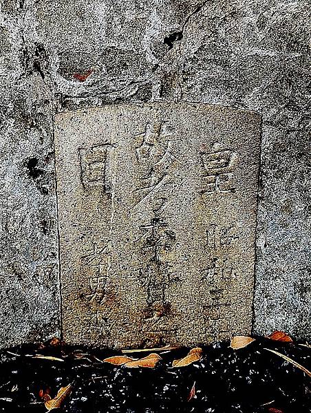 IMG_20230307_102104 (1).jpg