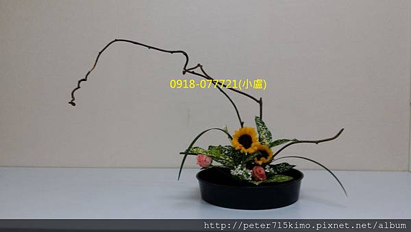 東洋花藝 自由花 線的美 小盧的家 痞客邦 東洋花藝 自由花 線的美 小盧的家 痞客邦