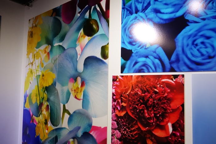 蜷川實花展 (3).JPG