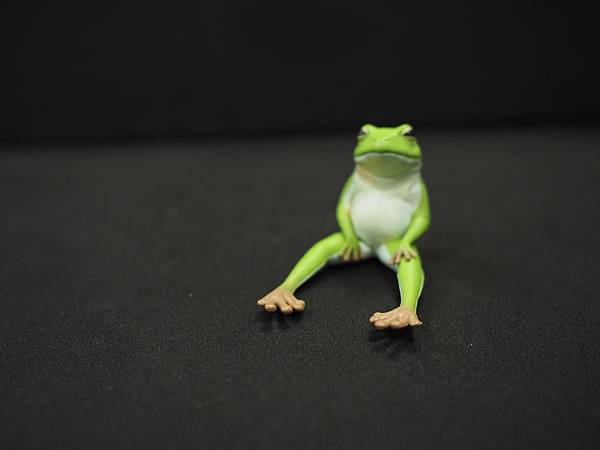 P5170053.JPG P5170053.JPG