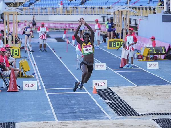 P8250553-1.jpg P8250553-1.jpg