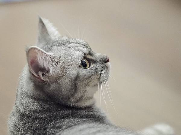 S__14032900-1.jpg S__14032900-1.jpg