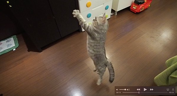 螢幕快照 2017-09-13 下午4.44.50.png 螢幕快照 2017-09-13 下午4.44.50.png