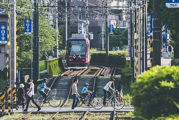 P4290498.jpg P4290498.jpg