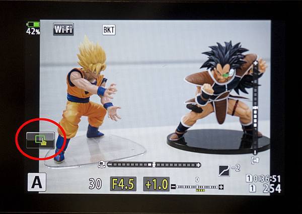 P6070007.jpg P6070007.jpg