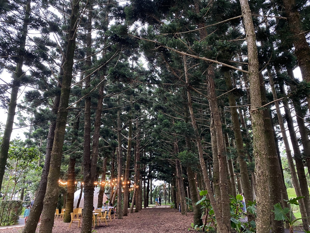 【桃園景點推薦】好玩有趣小孩、情侶或大人都能同樂的桃園新景點