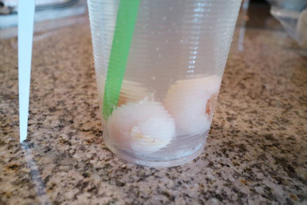 12903521_1133314940014432_2108660376_o 12903521_1133314940014432_2108660376_o