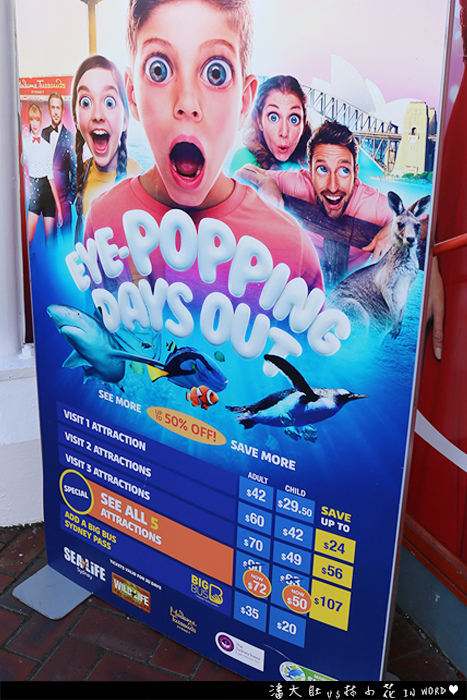 悉尼水族館33 悉尼水族館33