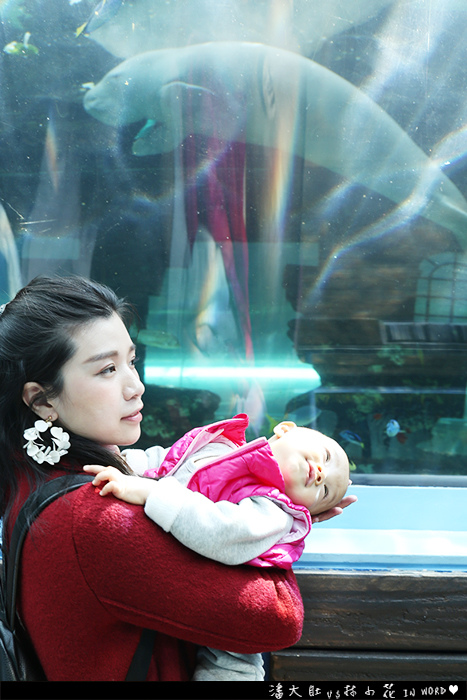 悉尼水族館34 悉尼水族館34