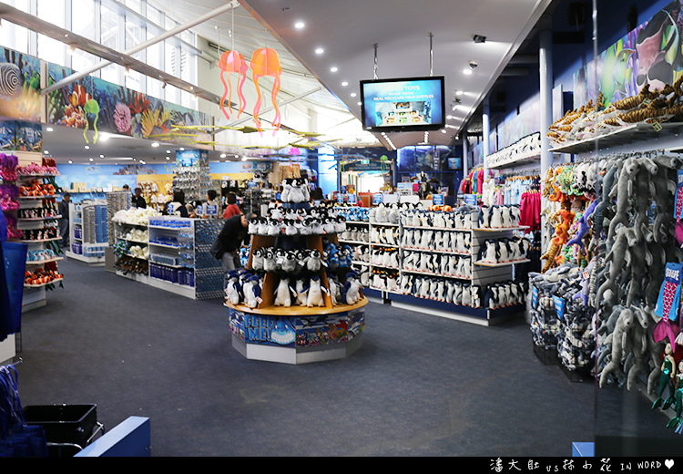 悉尼水族館3 悉尼水族館3