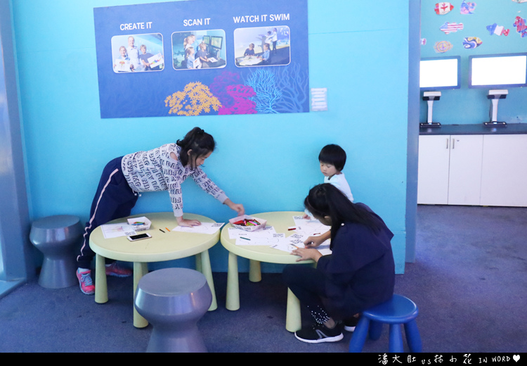 悉尼水族館7